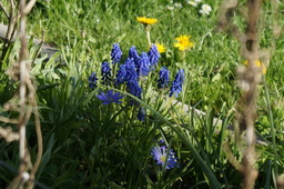 DSC00480.jpg