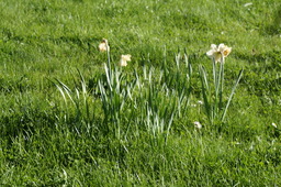 DSC00483.jpg