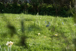 DSC00484.jpg
