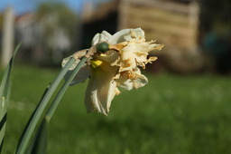 DSC00488.jpg