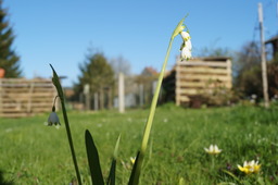 DSC00490.jpg