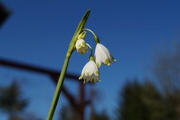 DSC00491.jpg