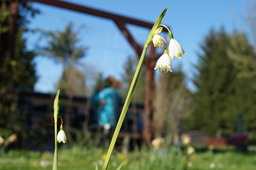 DSC00492.jpg