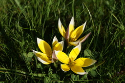 DSC00493.jpg