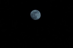 DSC00537.jpg