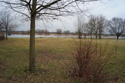 DSC00614.jpg