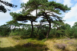 DSC01399.jpg