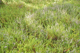 DSC01402.jpg
