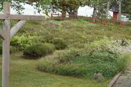 DSC02036.jpg