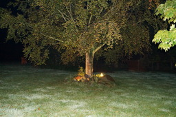 DSC02294.jpg