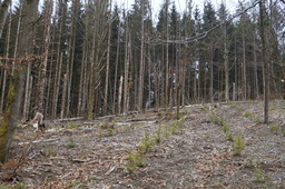 DSC02703.jpg