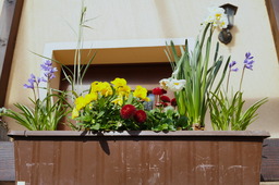 DSC02720.jpg