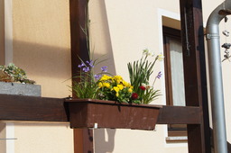 DSC02721.jpg