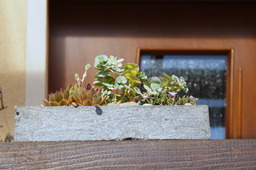 DSC02722.jpg