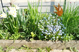 DSC02727.jpg