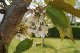 DSC02749.jpg