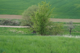 DSC02770.jpg