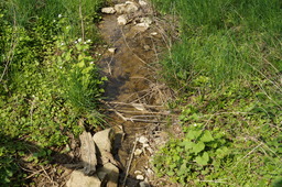 DSC02780.jpg