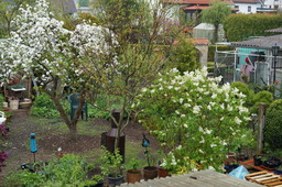 DSC02800.jpg