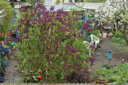 DSC02801.jpg