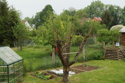 DSC02813.jpg