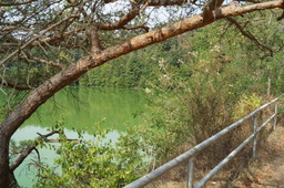 DSC02894.jpg
