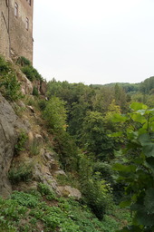 DSC02902.jpg