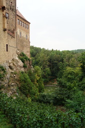 DSC02904.jpg