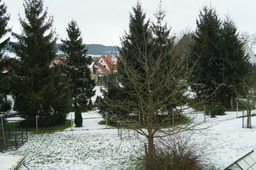 DSC04011.jpg