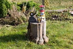 DSC04141.jpg