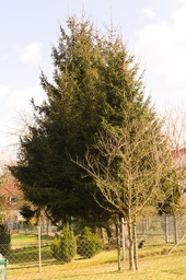 DSC04151.jpg