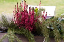 DSC04165.jpg