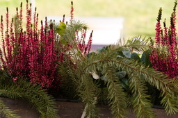 DSC04166.jpg