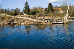 DSC04251.jpg
