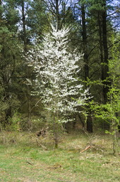DSC05246.jpg