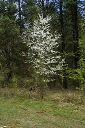 DSC05247.jpg