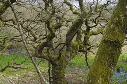 DSC05279.jpg