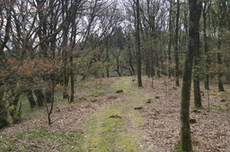 DSC05280.jpg