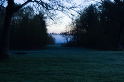 DSC05307.jpg