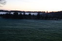 DSC05311.jpg