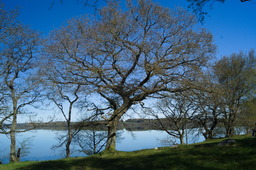 DSC05348.jpg