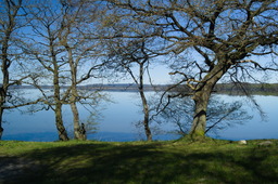 DSC05349.jpg