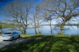 DSC05350.jpg
