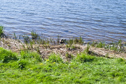 DSC05438.jpg