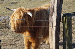 DSC01475.jpg