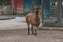 DSC01689.jpg