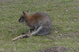 DSC01690.jpg