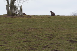 DSC01691.jpg