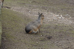 DSC01707.jpg