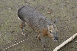 DSC01709.jpg